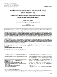 안검내반